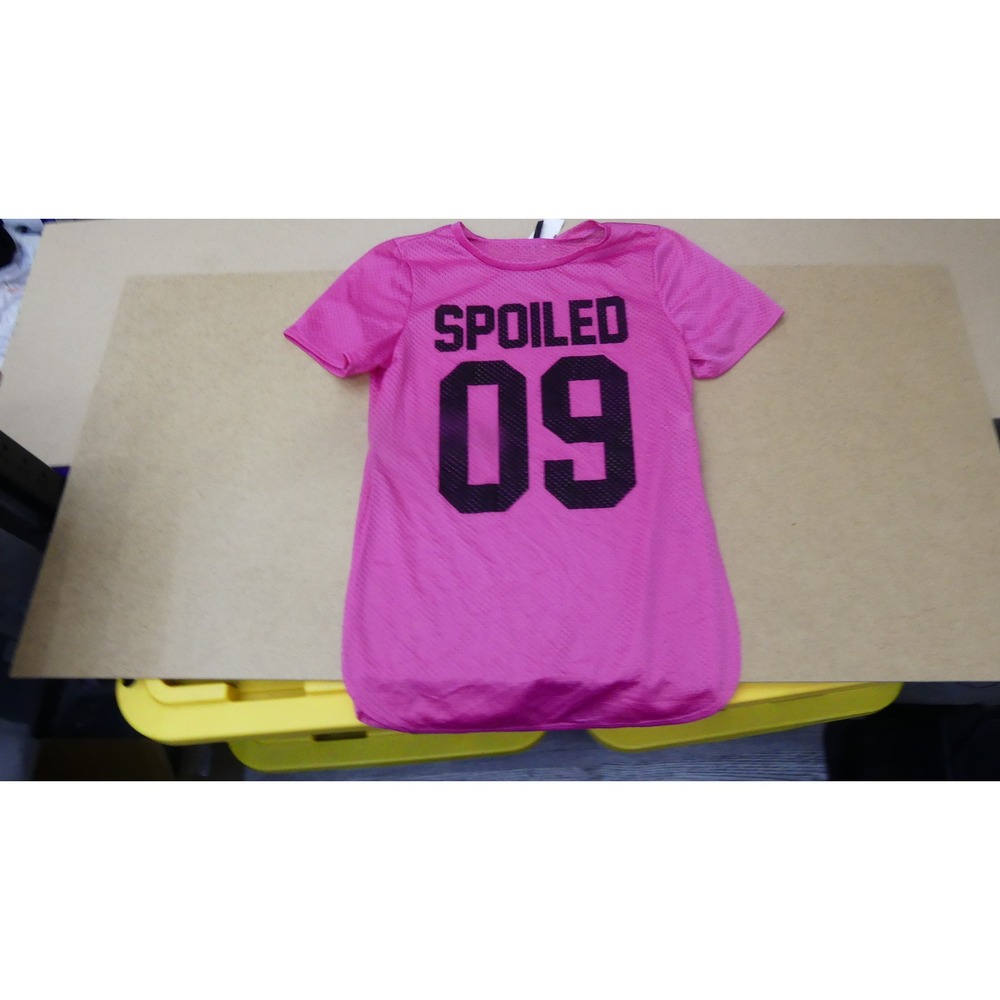 Cleo Mesh Jersey Dress Womens L Pink Spoiled 09 Graphic Short Sleeve TK2434ZA